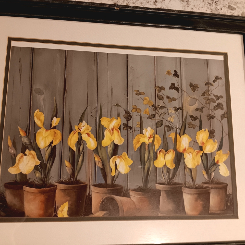 Framed Floral Art Print with Yellow Iris Flowers